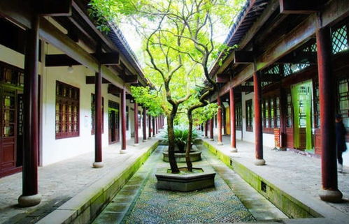 探索古代书院模拟器无限资源的奥秘：如何巧妙管理与发展你的书院
