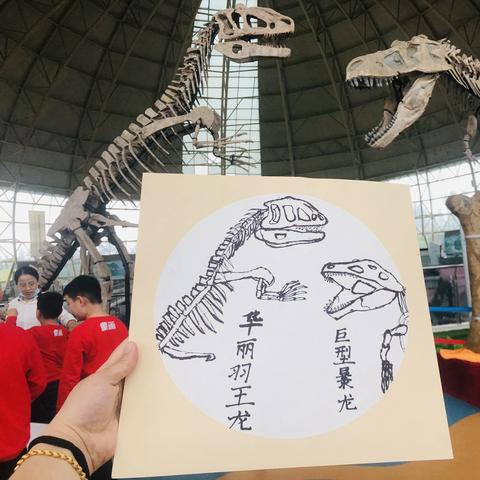 探秘龙城传奇：官方App下载，畅游传奇世界，激情绽放演绎传奇传奇！