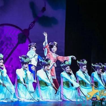 解密谜之代号，寻找花的芬芳——揭秘代号和花的神秘联结及背后的故事