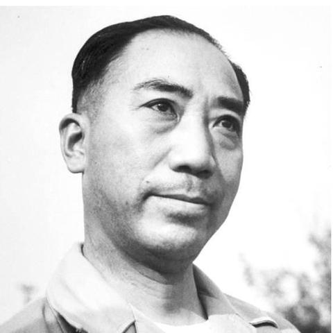 解密谜之代号，寻找花的芬芳——揭秘代号和花的神秘联结及背后的故事