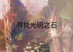 (寻光者的赌局)寻光者说：在黑暗中寻找内心的光明与希望的旅程