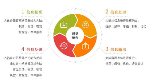 专家详解：如何根据战略需求和特殊环境，科学配置文明岔口阵容推荐