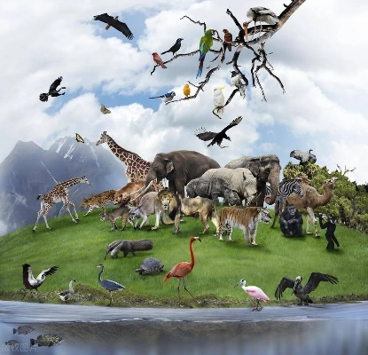 (物种多样性是指什么是生物多样性的重要体现)探寻物种奇境之谜：玩转神秘的生物多样性世界