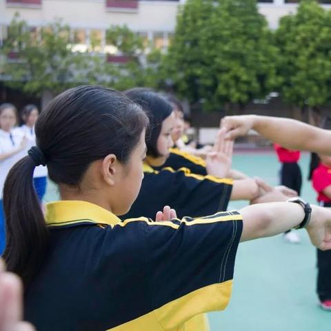 深度解析：以我要看神奇萌可为主题，探讨当下青少年对萌文化的认知与痴迷