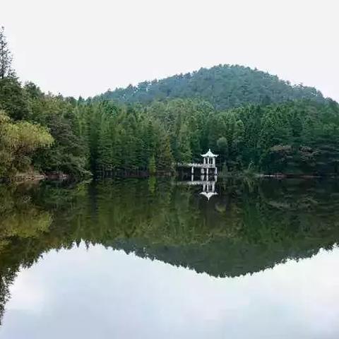 桃源深处有人家：揭秘隐世人家的传统养生烹饪艺术及其食材采摘准则