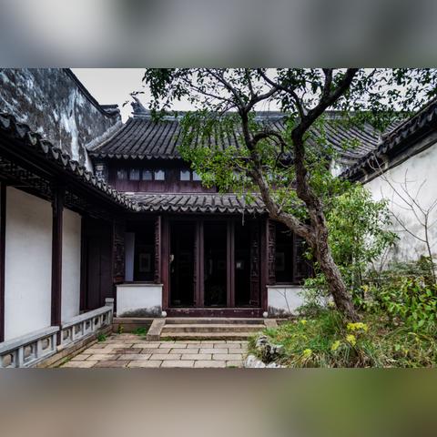 桃源深处有人家：揭秘隐世人家的传统养生烹饪艺术及其食材采摘准则
