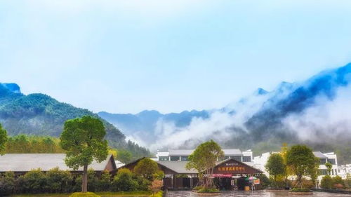 (江南风景实拍)江南风景的神奇迷离：犹如仙境一般的惊艳