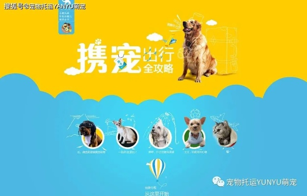 (宠物会员是什么)加入我们的会员宠物秀，展示你的爱宠与他人分享快乐