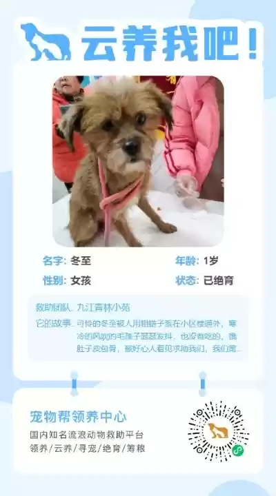 (宠物会员是什么)加入我们的会员宠物秀，展示你的爱宠与他人分享快乐