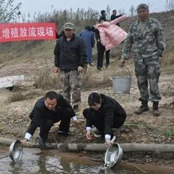猫咪打猎无限金币免安装最新版本：畅享激动人心的猫咪猎捕之旅，开启无尽冒险