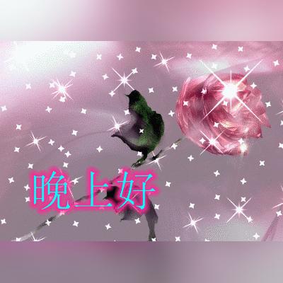 (适合给妈妈讲的睡前故事)温馨晚安系列：给妈妈讲述的美丽梦境——宝宝睡前故事专辑