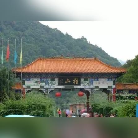 (树木 森林)探索森林王国的奇妙世界：树木、动物与生态的奇幻旅程
