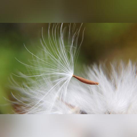 (以德服人的做法应该怎么说)以德服人的含义及示范方式，在人际交往中如何实践以德服人