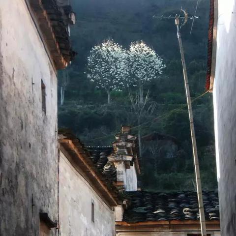 (春雷惊蛰的意思)春雷已响，蛰伏之惊蛰下一句是万物复苏。