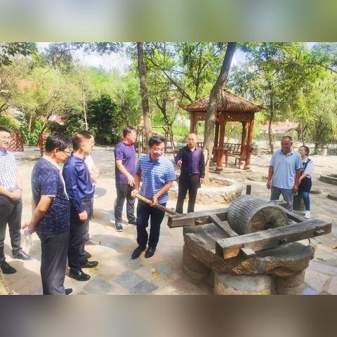 探讨萌龙大乱斗中青春之泉的作用：它如何全面提升角色能力并丰富游戏体验