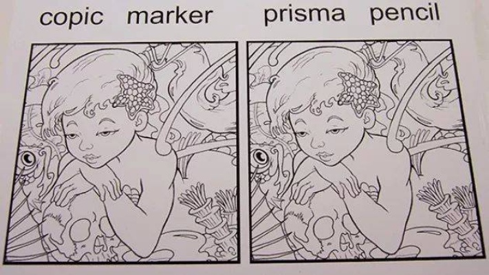 (涂色步骤)一步一步教你如何进行完美涂色的技巧和方法分享