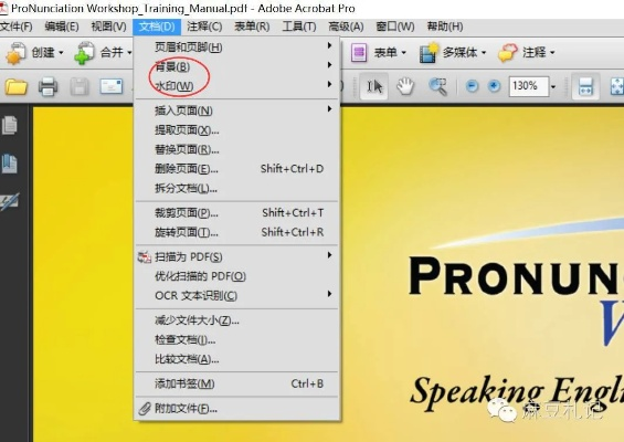 (adobe acrobat pro 中的增效工具怎么安装)详细指南：如何安装Adobe Acrobat 9 Pro增效工具进行PDF编辑