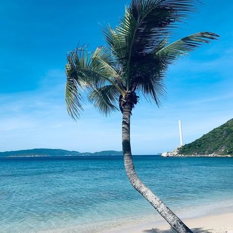 (迷宫探索攻略)探索迷宫幻境，揭秘正确走法，绝不迷失在其中的终极指南！