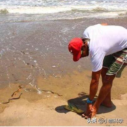 (海蛇传奇(欢乐版))寻找海蛇传奇欢乐版旧世界：神秘藏身之地在何方？