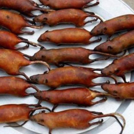 微信天天爱料理一共多少关？快来揭开这个美食挑战的神秘面纱！