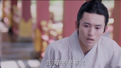 (芸汐传在哪儿可以看)哪里可以观看芸汐传？寻找最全芸汐传资源