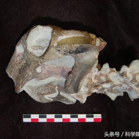 (摩洛哥足球俱乐部)摩洛哥国家足球队以7-0大胜莱索托，展现出强大的攻势和团队配合
