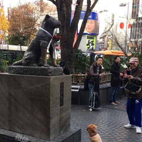 (激萌哪个特效好看)激萌英雄力量大揭秘：超萌英雄片段令人惊叹不已