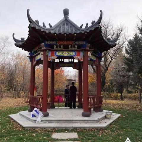 探索未知：揭秘在迷宫中邂逅的神秘反和谐教程和其教育意义的深入解读