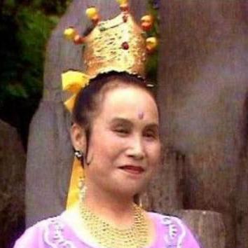 妖怪道中记金手指大揭秘！如何利用金手指在游戏中轻松突破难关？