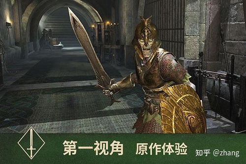 (上古卷轴5刀锋战士是什么)上古卷轴5刀锋战士mod：挑战无尽的冒险与强大敌人
