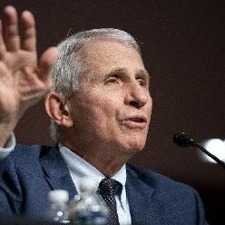 (跟我的侠客一样的手游)探索一下类似我的侠客的手游有哪些吧
