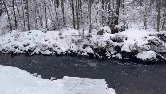 在皑皑白雪中流淌的无尽小河：时间的长河无法阻挡生命的奔涌