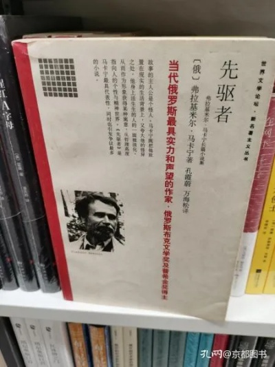 (先驱者是什么)探讨先驱者和先锋使者的不同职责和影响